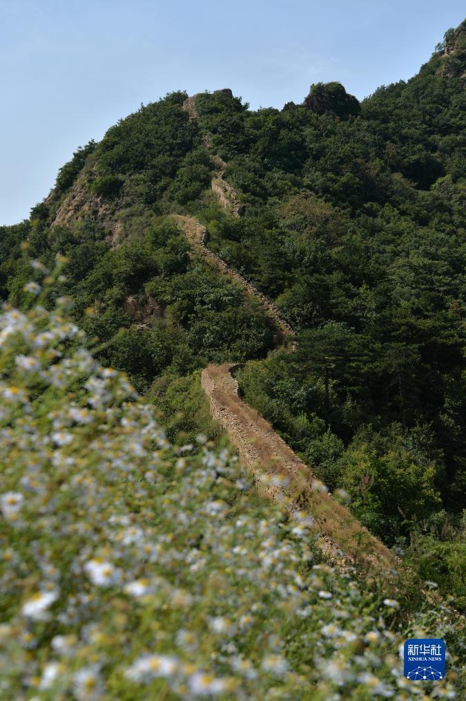 太阳城赌城网站